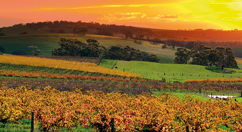 Barossa Valley