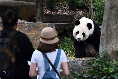 Adelaide Zoo Entry