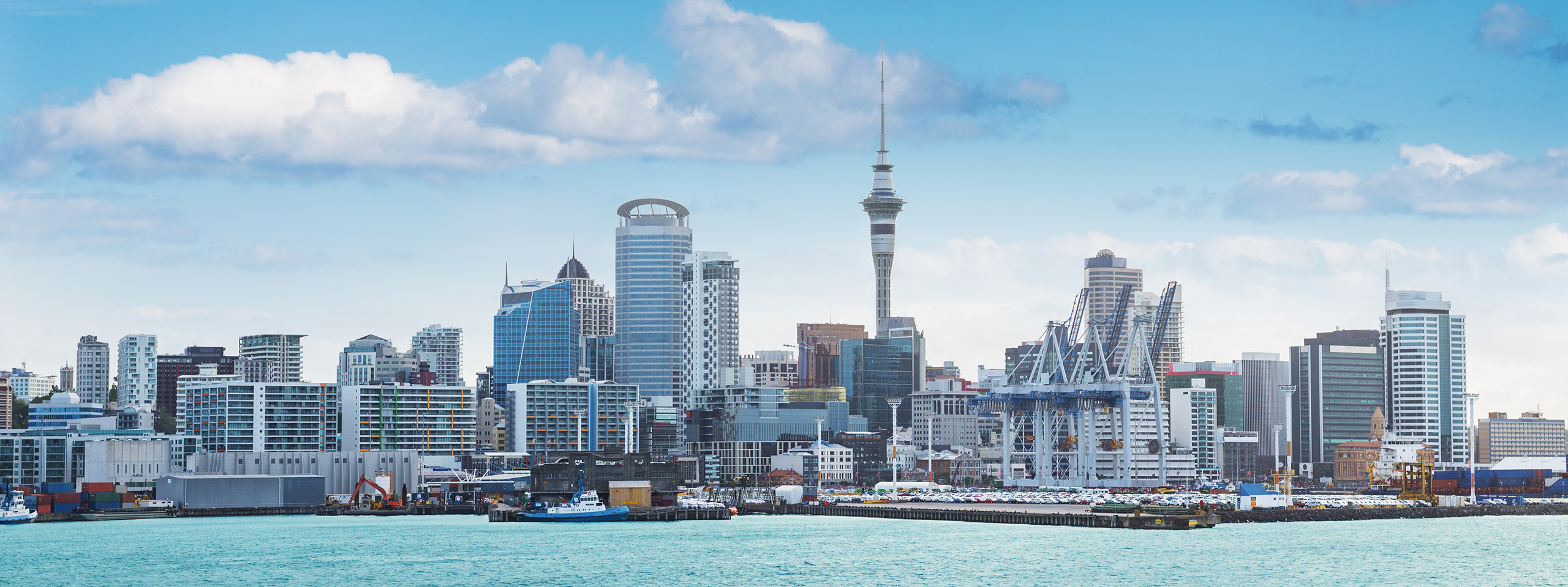 Auckland City