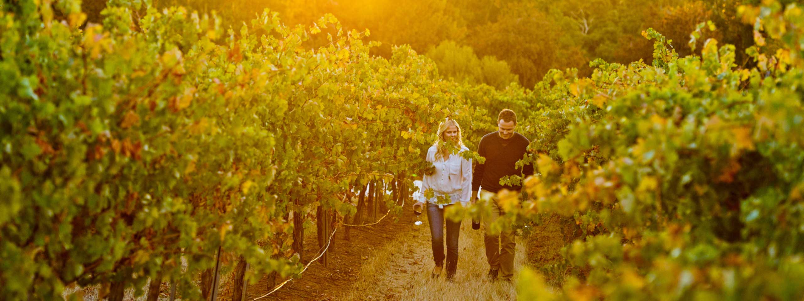 Clare Valley