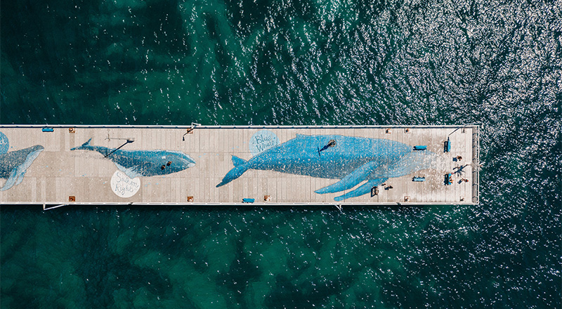 busselton jetty thummb