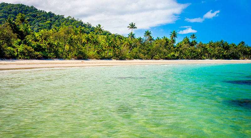 Cape Tribulation, Cairns