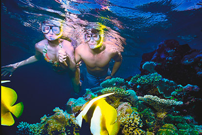 Great Adventures Introductory Dive