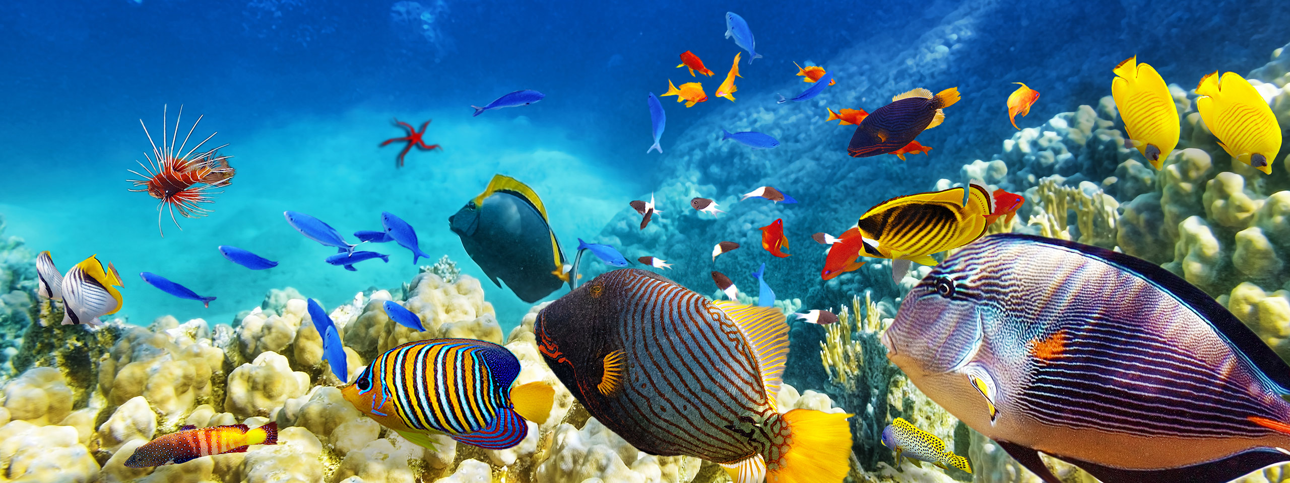 Great Barrier Reef & Queensland
