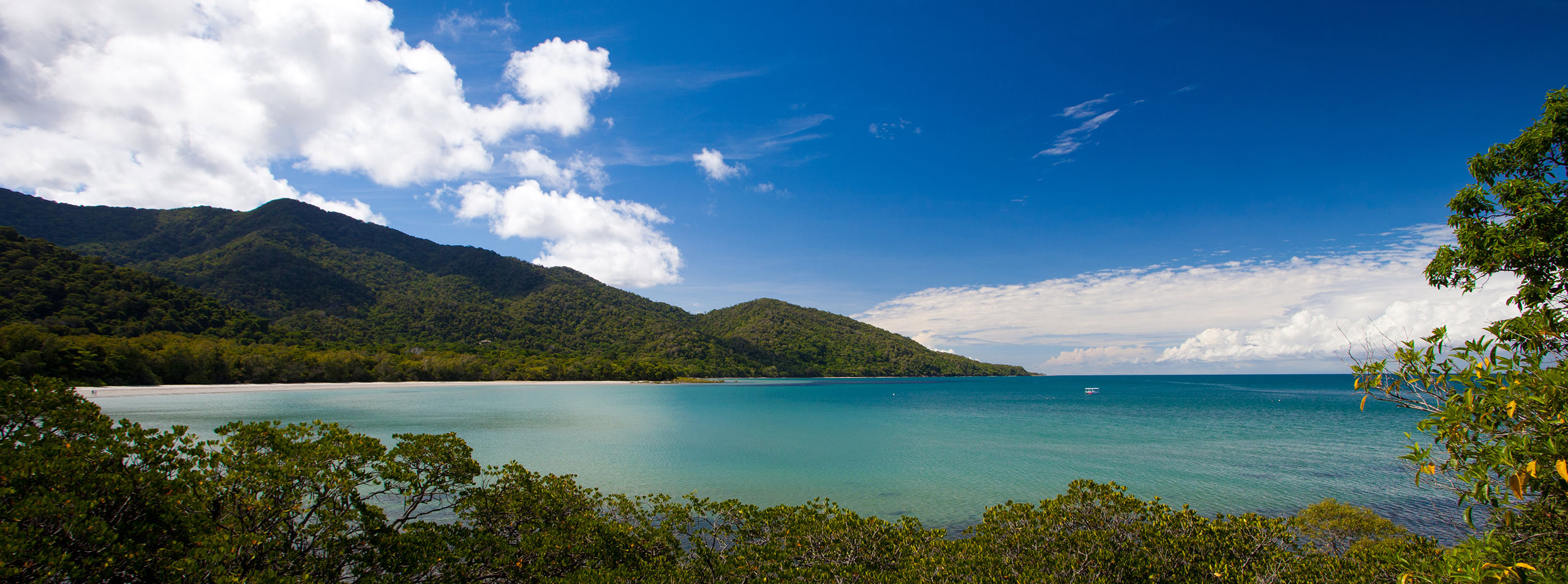 Cape Tribulation