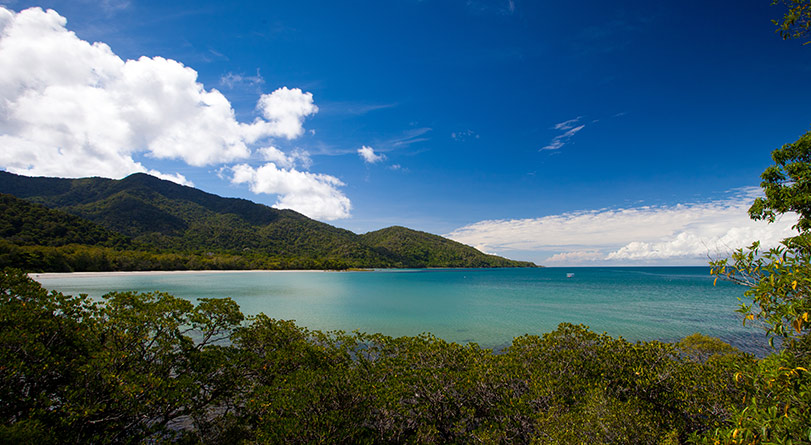 cape tribulation ctr preview