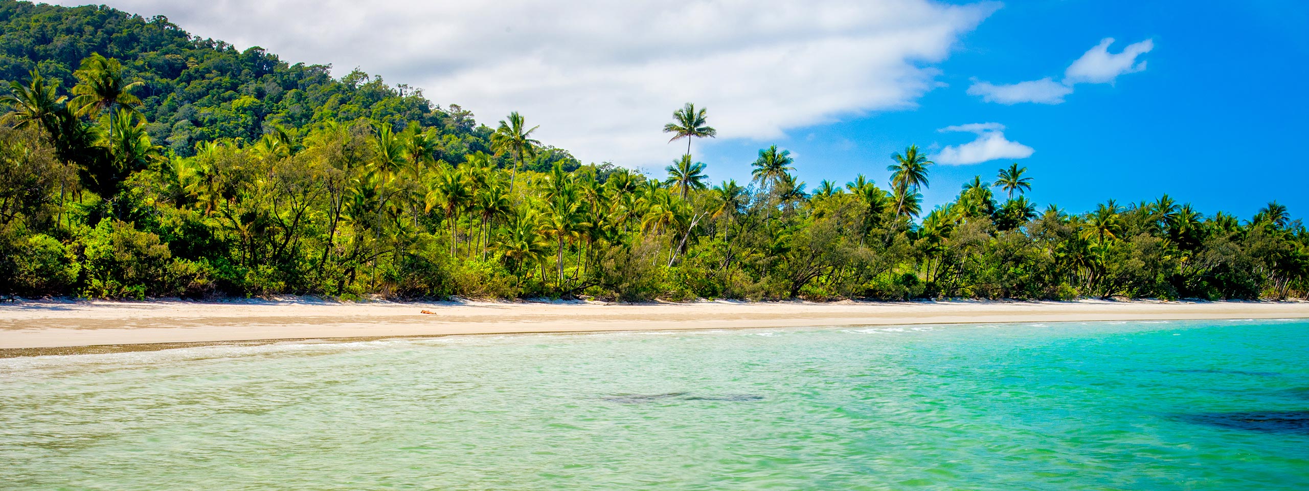 Cape Tribulation