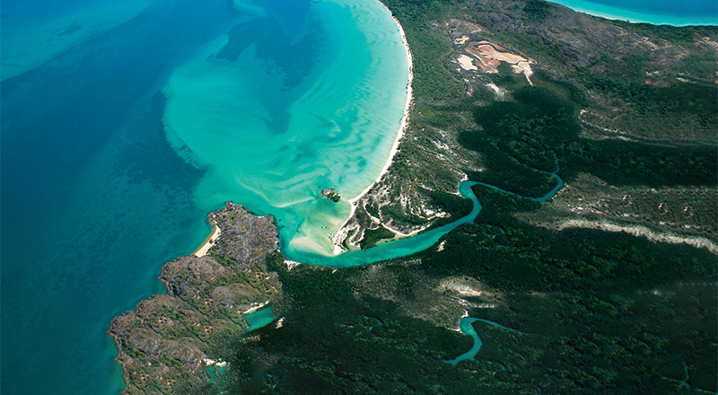 cape york thumb