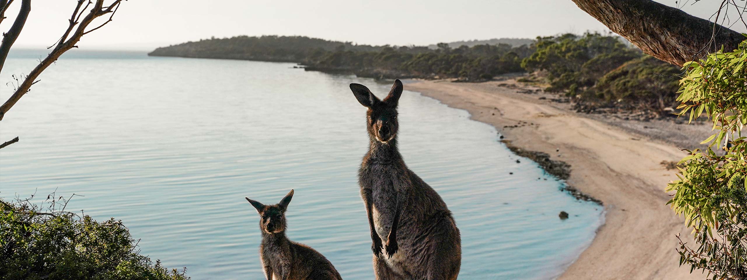 Coffin Bay