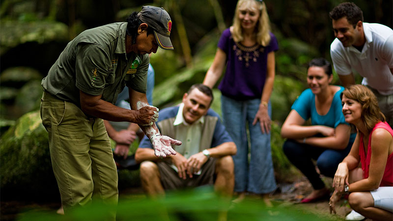 Down Under Tours Daintree Dreaming With Ngadiku Walk