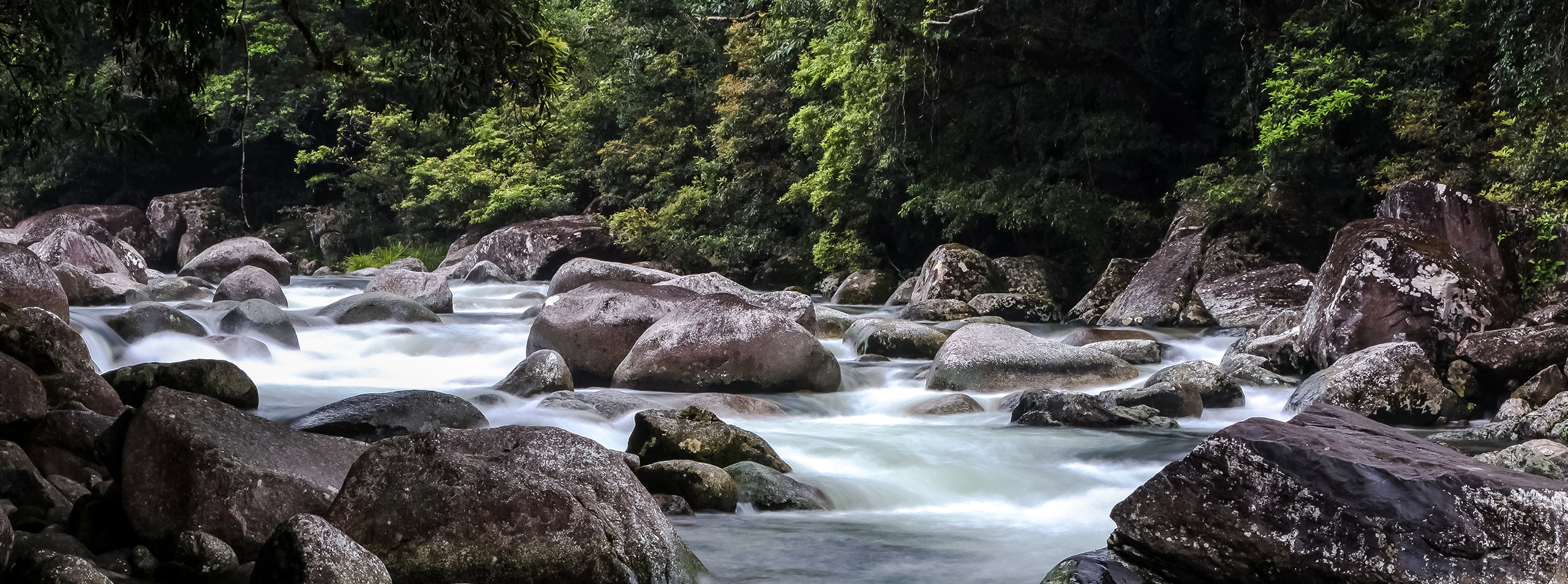 Mossman Gorge, Daintree Rainforest