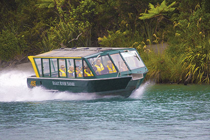 Haast River Safari