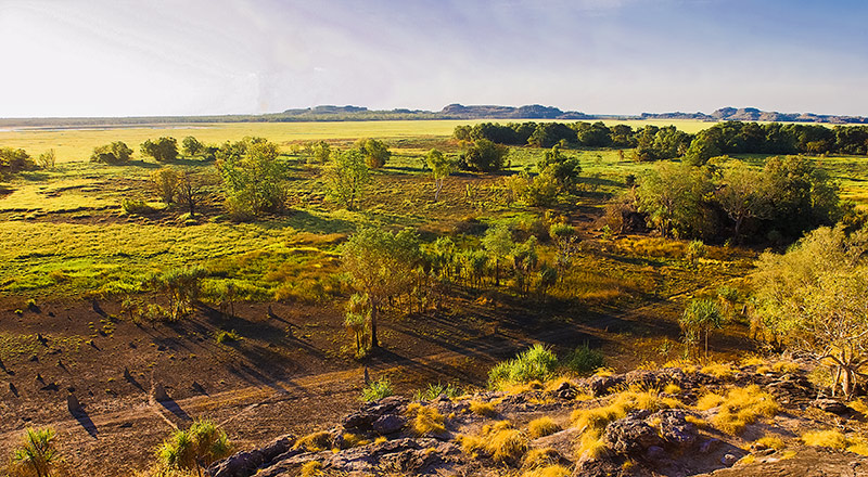 kakadu ubirr DG42 preview