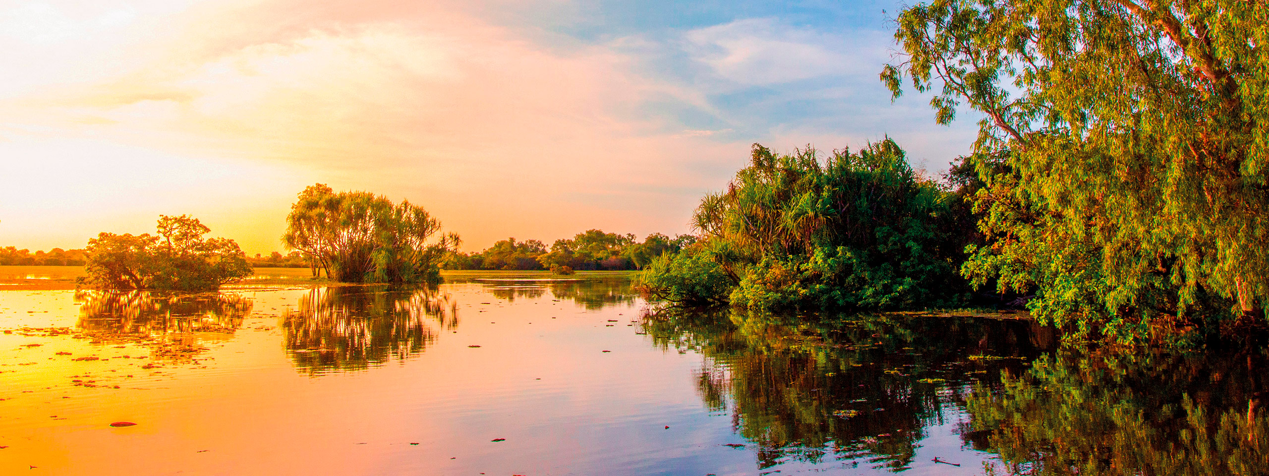 Yellow Water Billabong