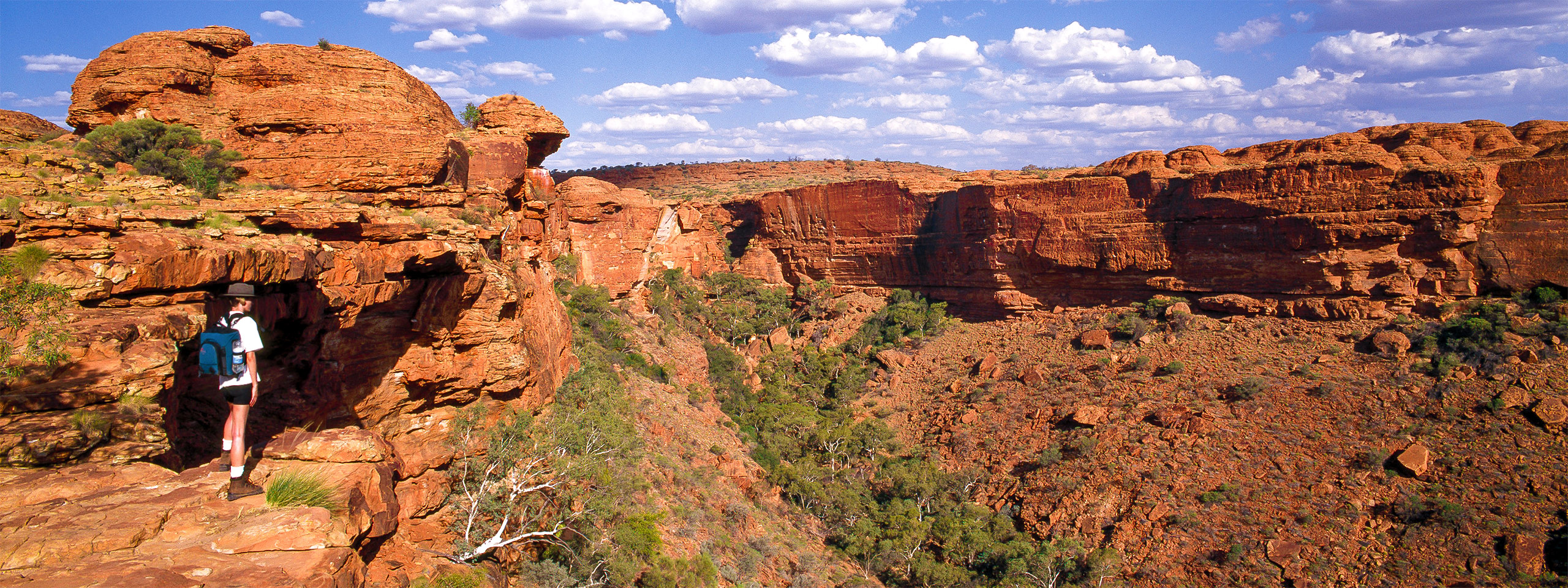 Kings Canyon Walk