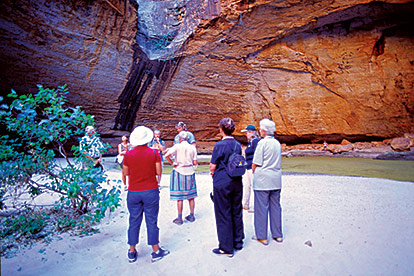 Full Day Bungle Bungle Flight & 4WD Tour