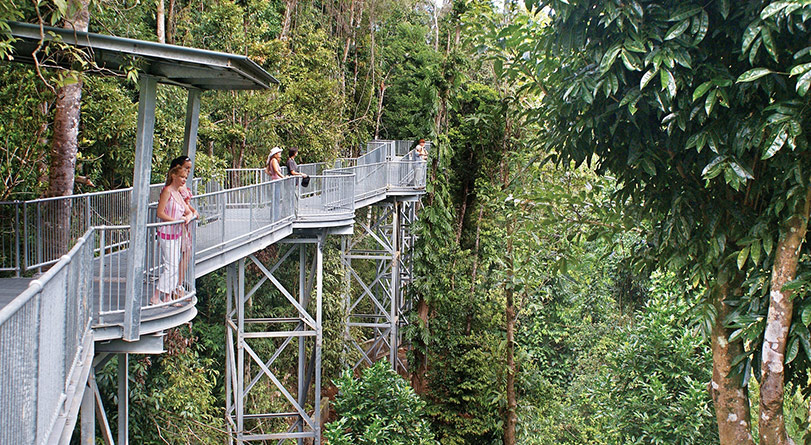 kuranda walkway kqs preview