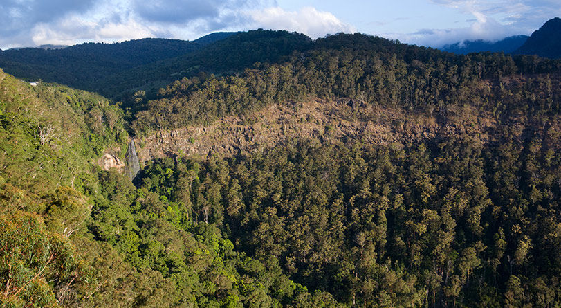 Lamington National Park
