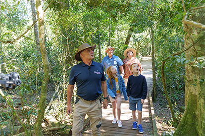 Lamington National Park, O'Reilys & Vineyard Tour
