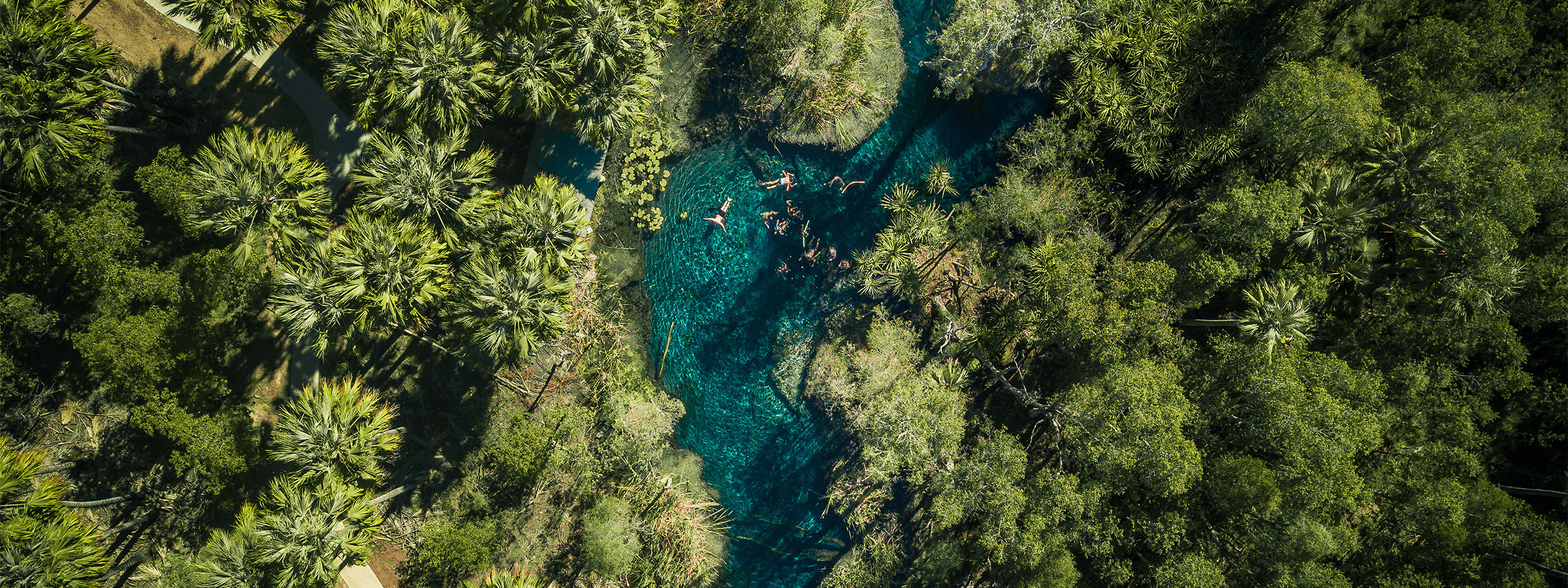 Mataranka Falls