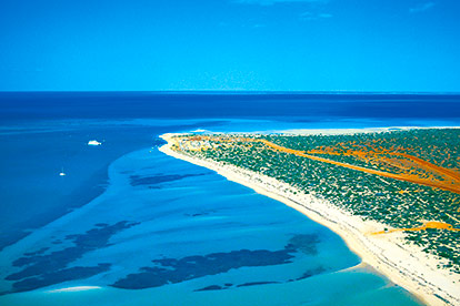 Shark Bay Scenic Flight (45 min)