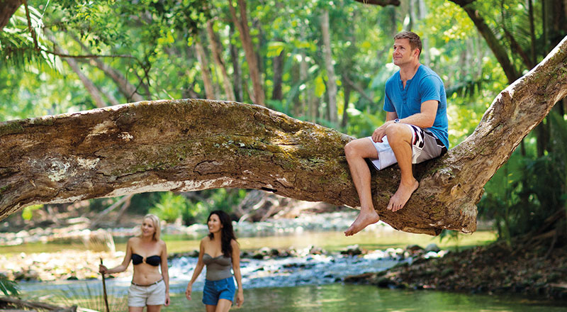 mossman gorge guests dwa preview