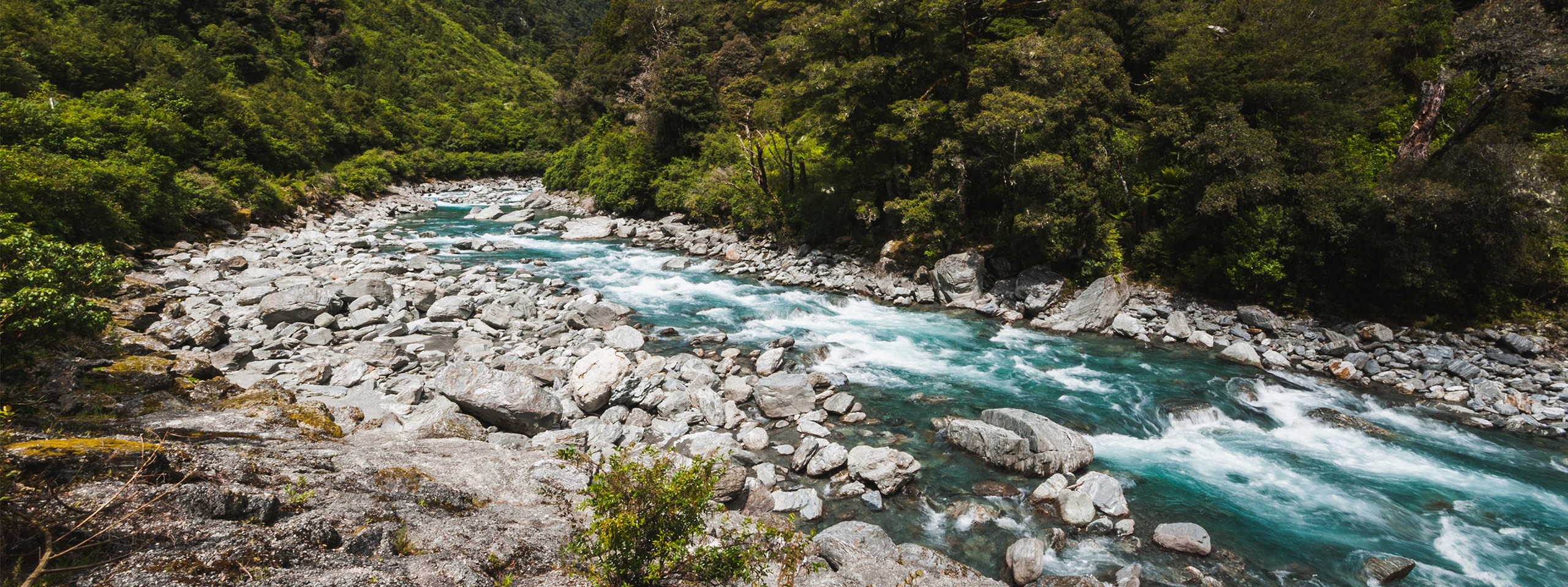 Haast River