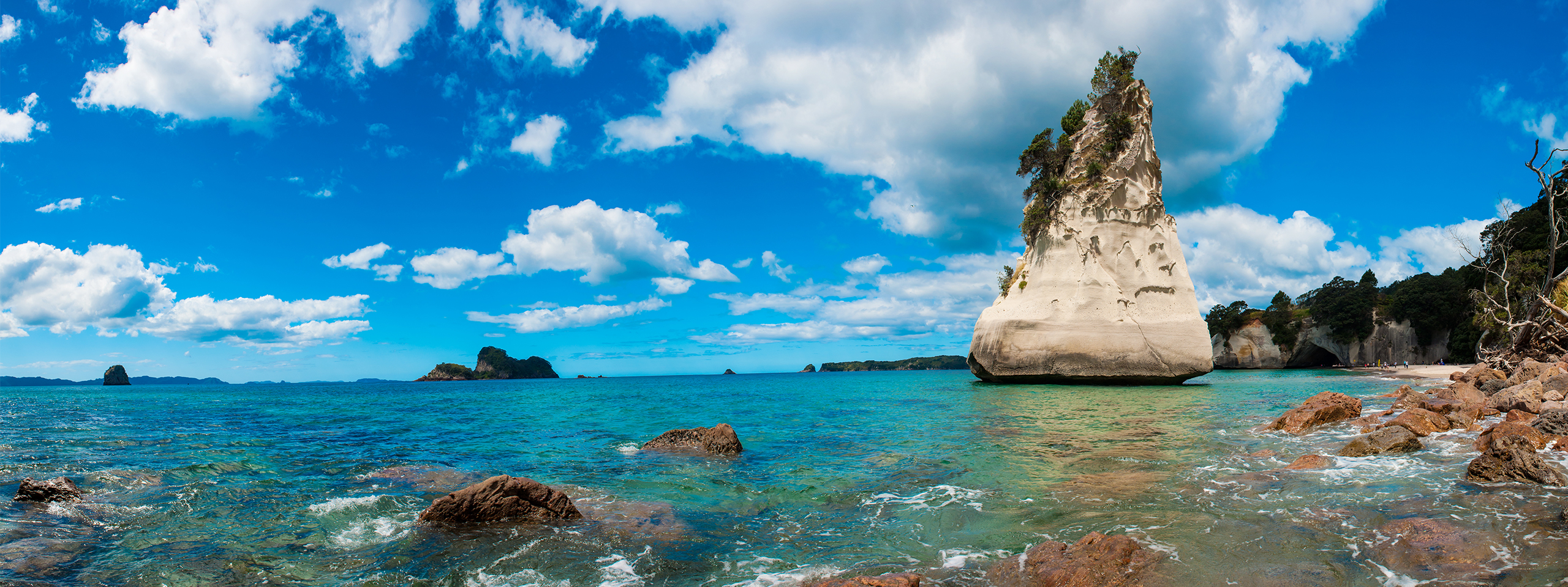 Coromandel