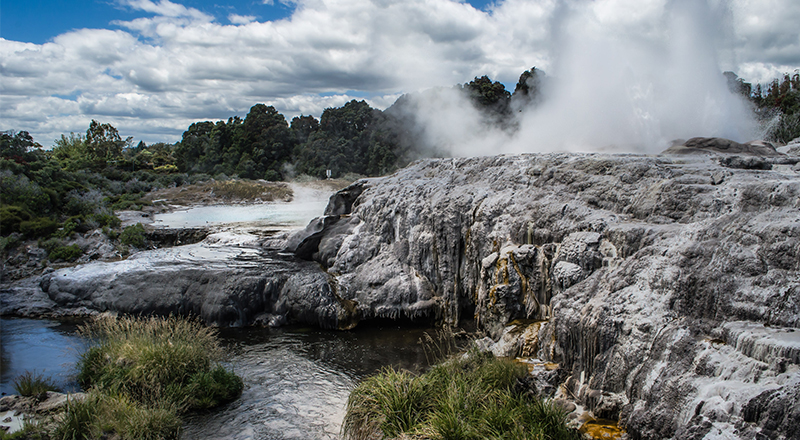 Te Puia Springs