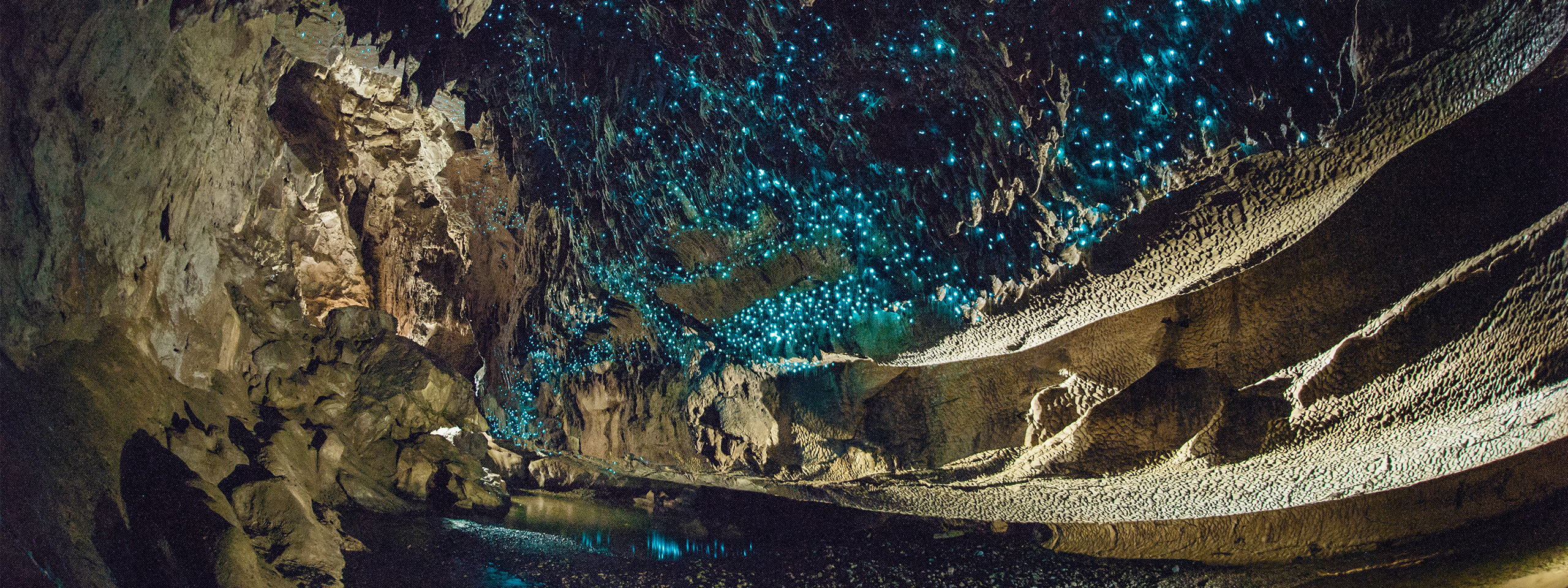 Waitomo Caves