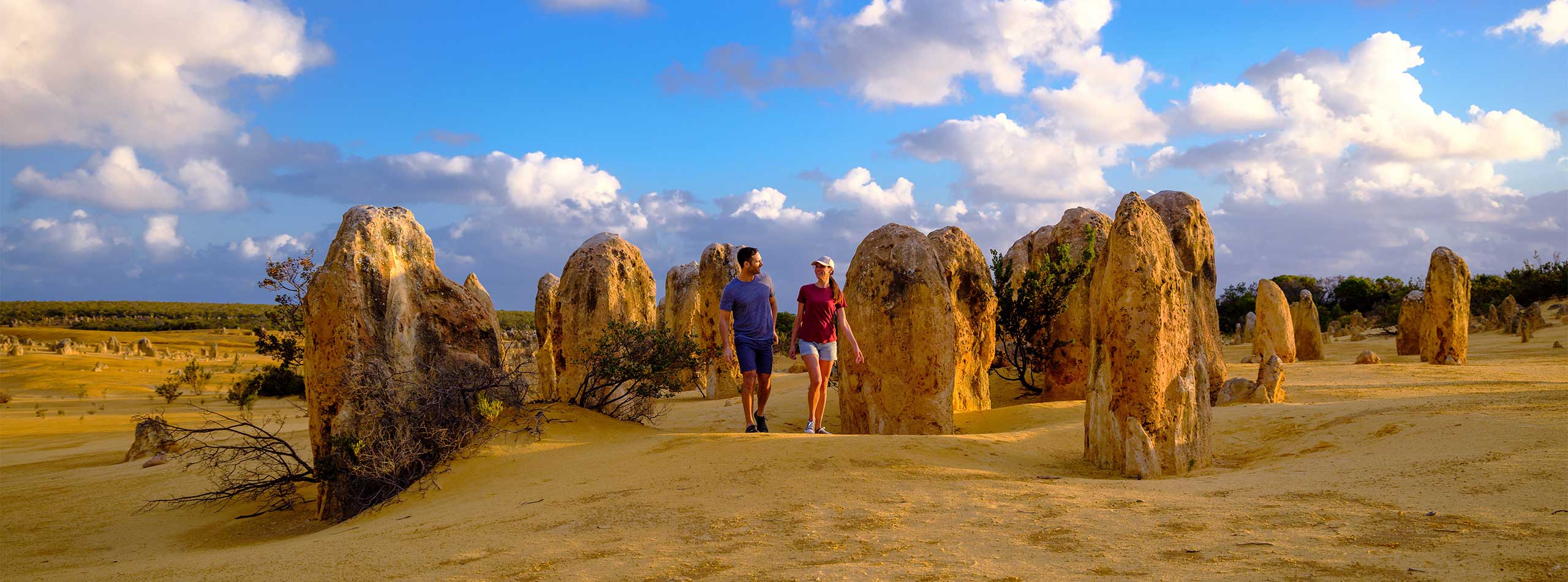 The Pinnacles