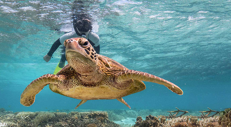 qcs great barrier reef tr 2022 hero preview
