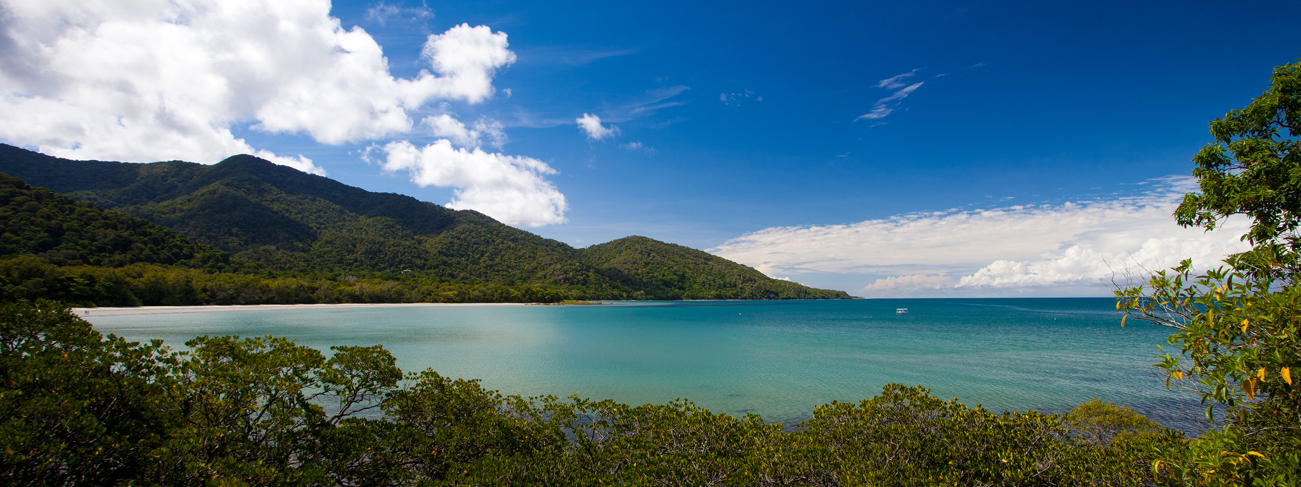 Cape Tribulation