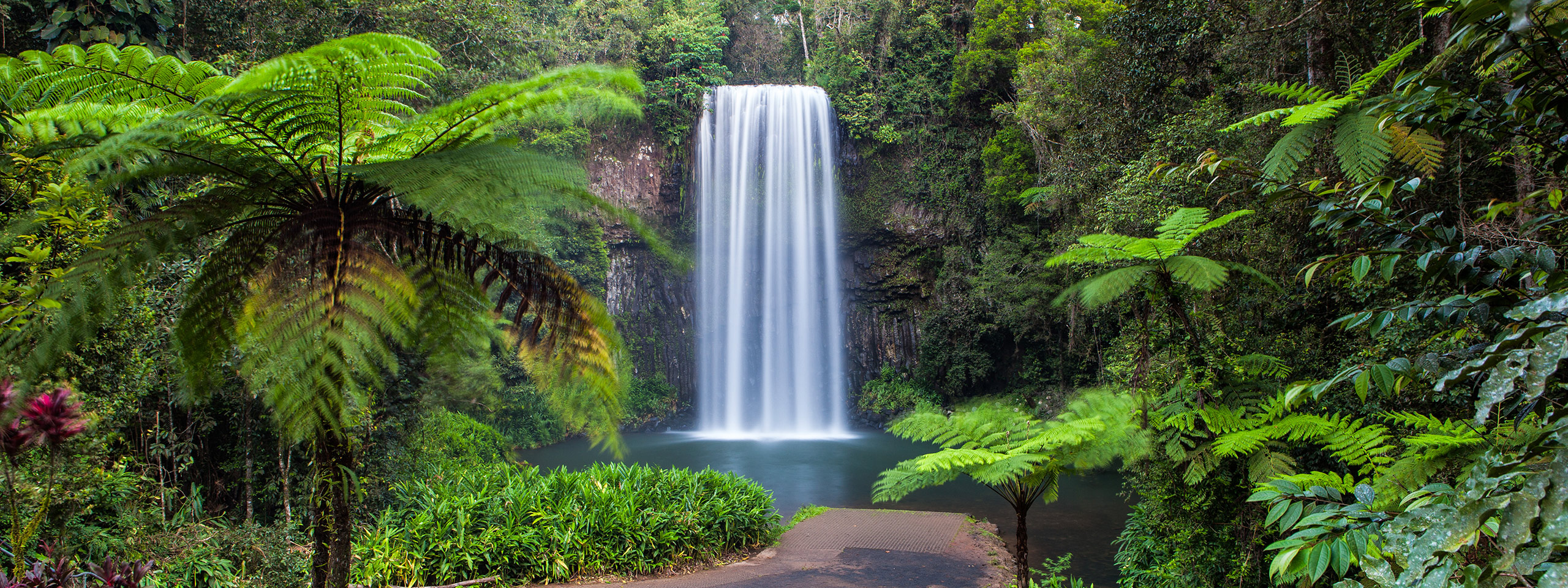 Millaa Millaa Falls