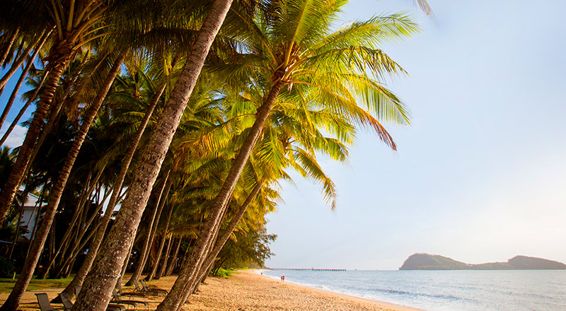 queensland palm cove cairns ijfly preview