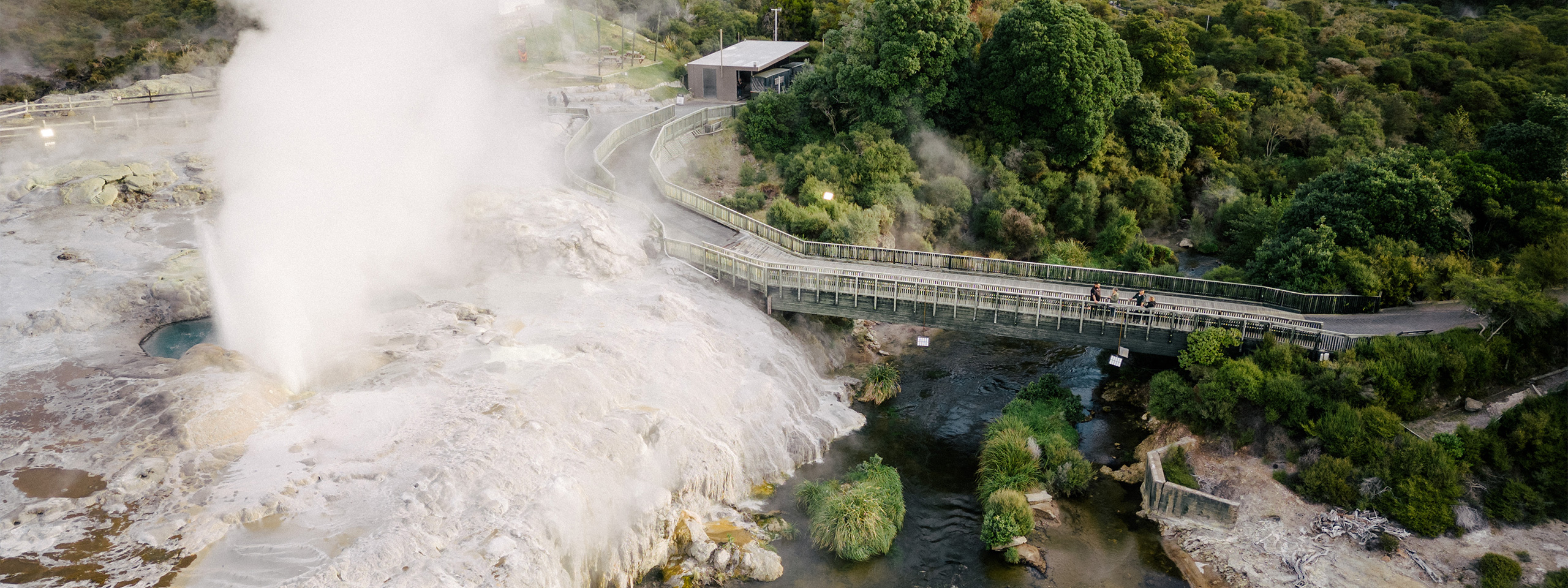 Rotorua Geyser