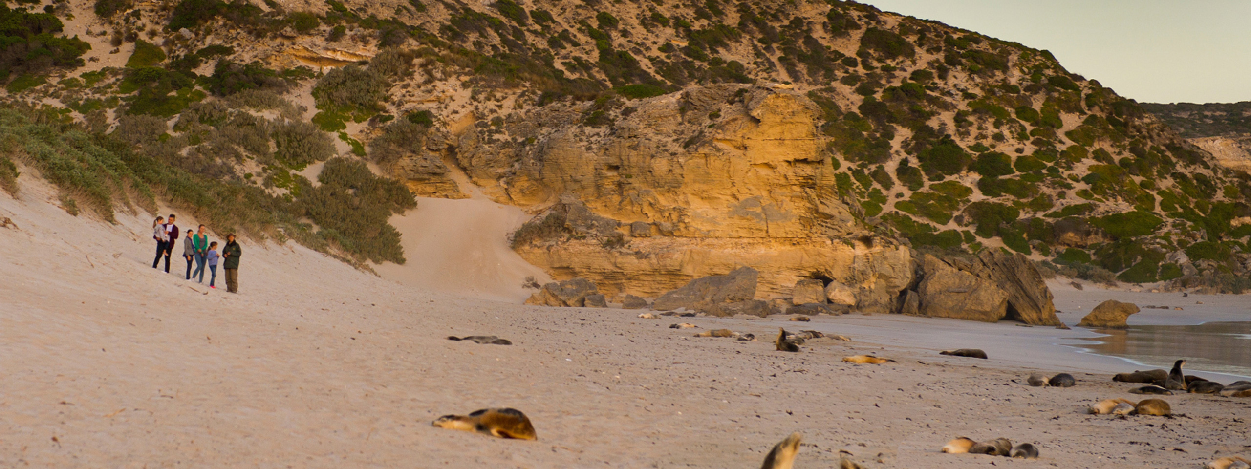 Seal Bay