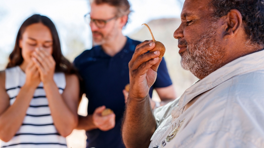 AATKINGS NT Karrke Indigenous Cultural Experience