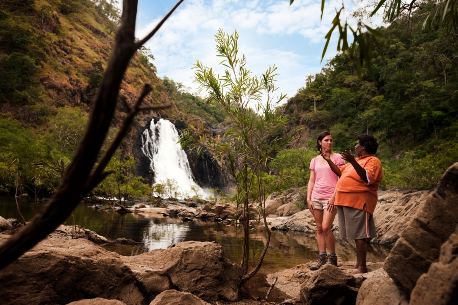 Daintree Dreaming Tour ToursimAU