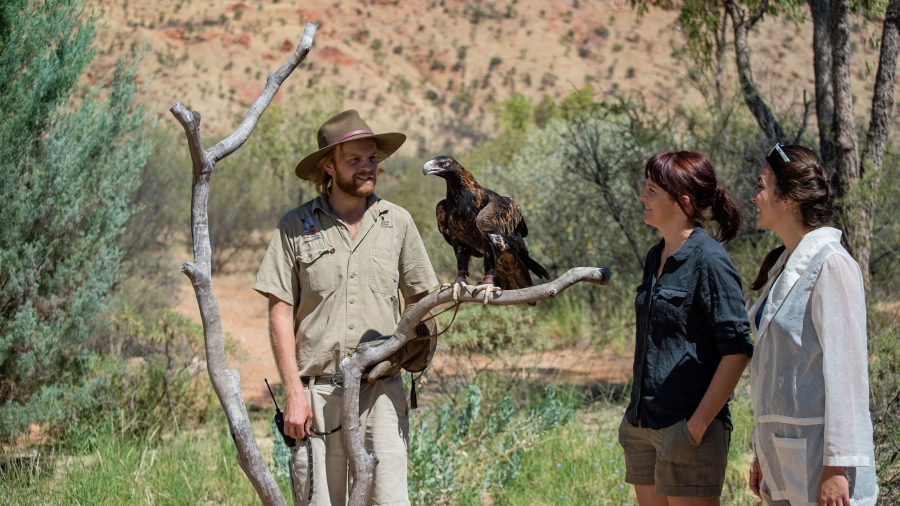 NT Alice Springs Desert Park