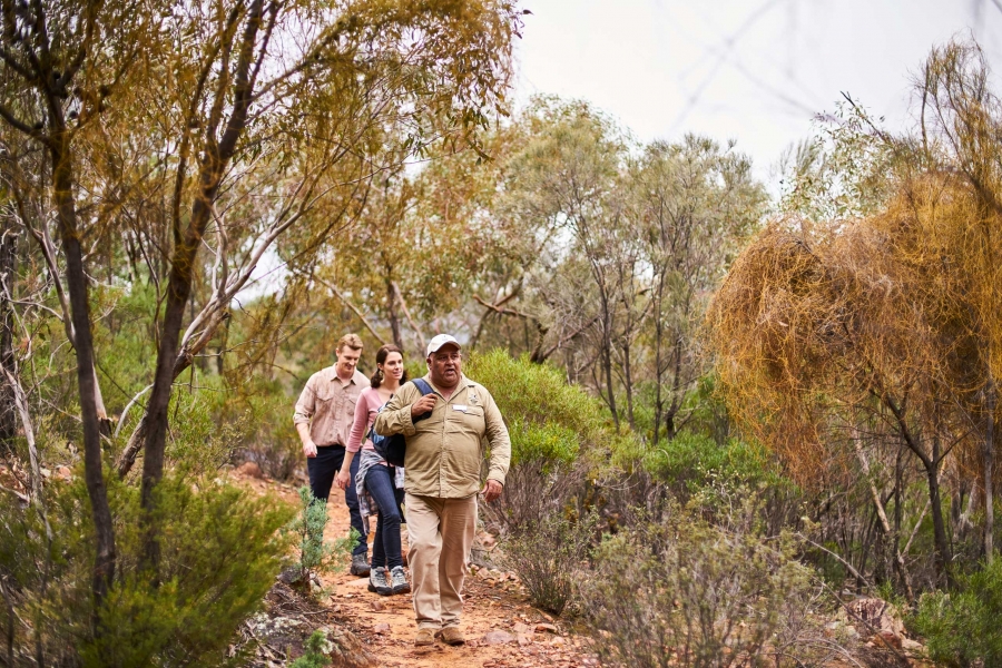Wilpena Pound TourismSA 2