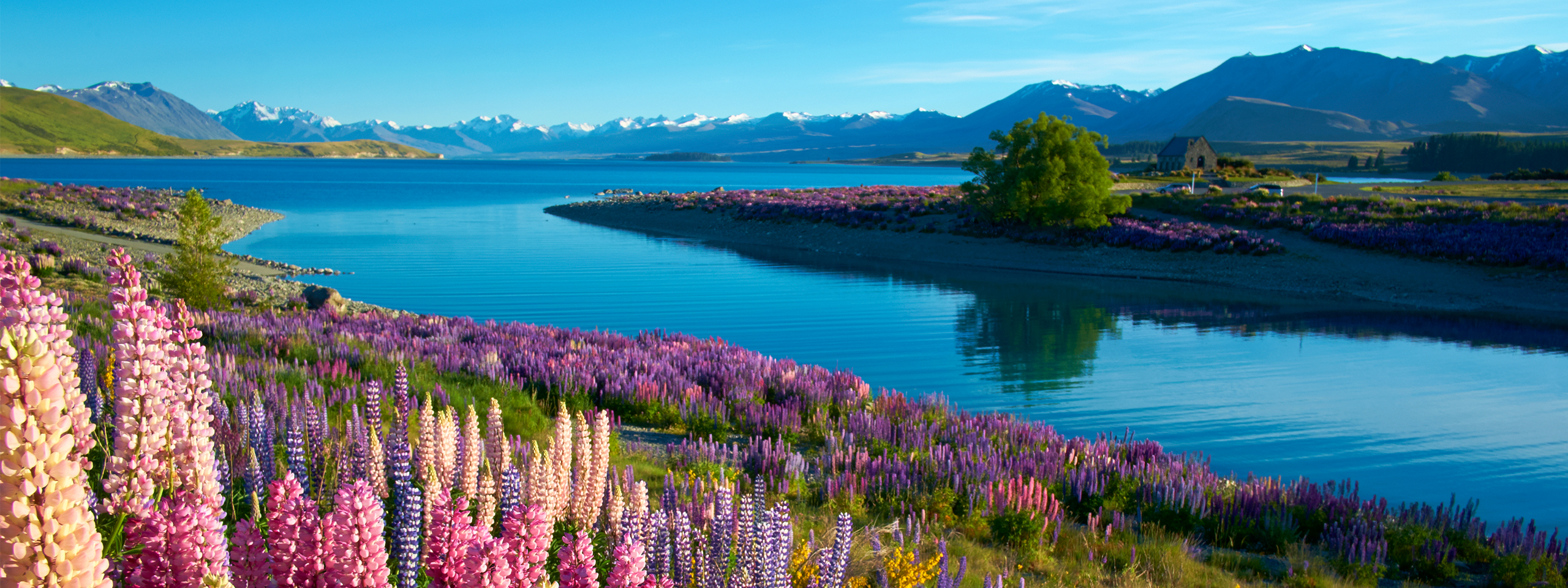Fiordland National Park