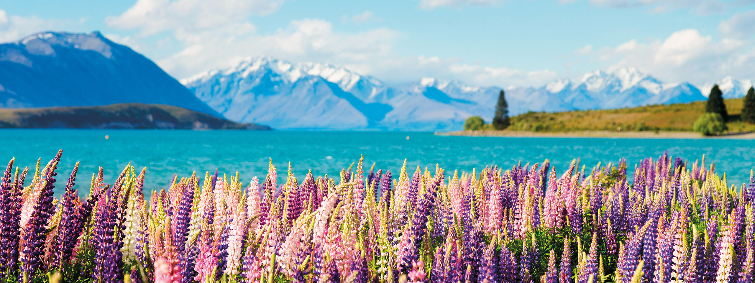 Lake Tekapo
