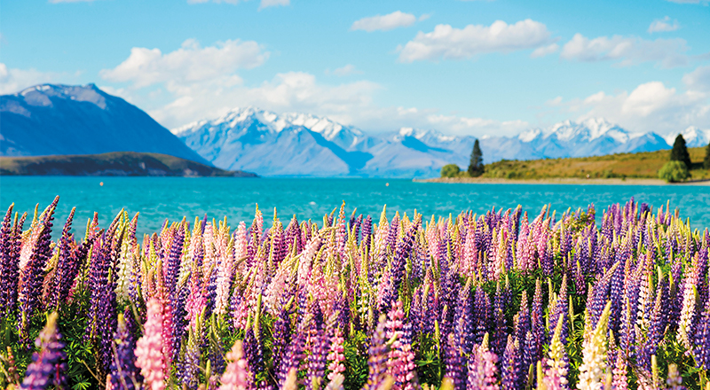 Lake Tekapo