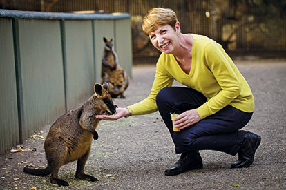 Blue Mountains & Australian Wildlife (J15)