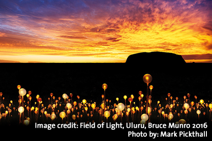 Field of Light Sunrise