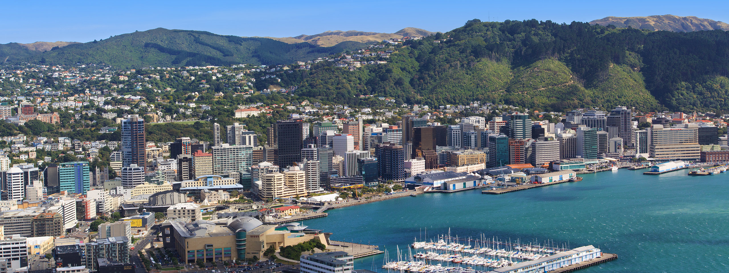 Wellington City