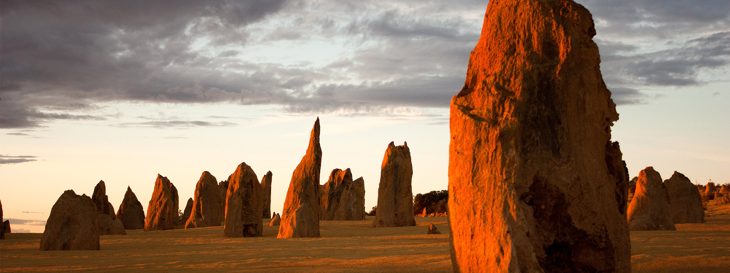 The Pinnacles Desert, Nambung National Park