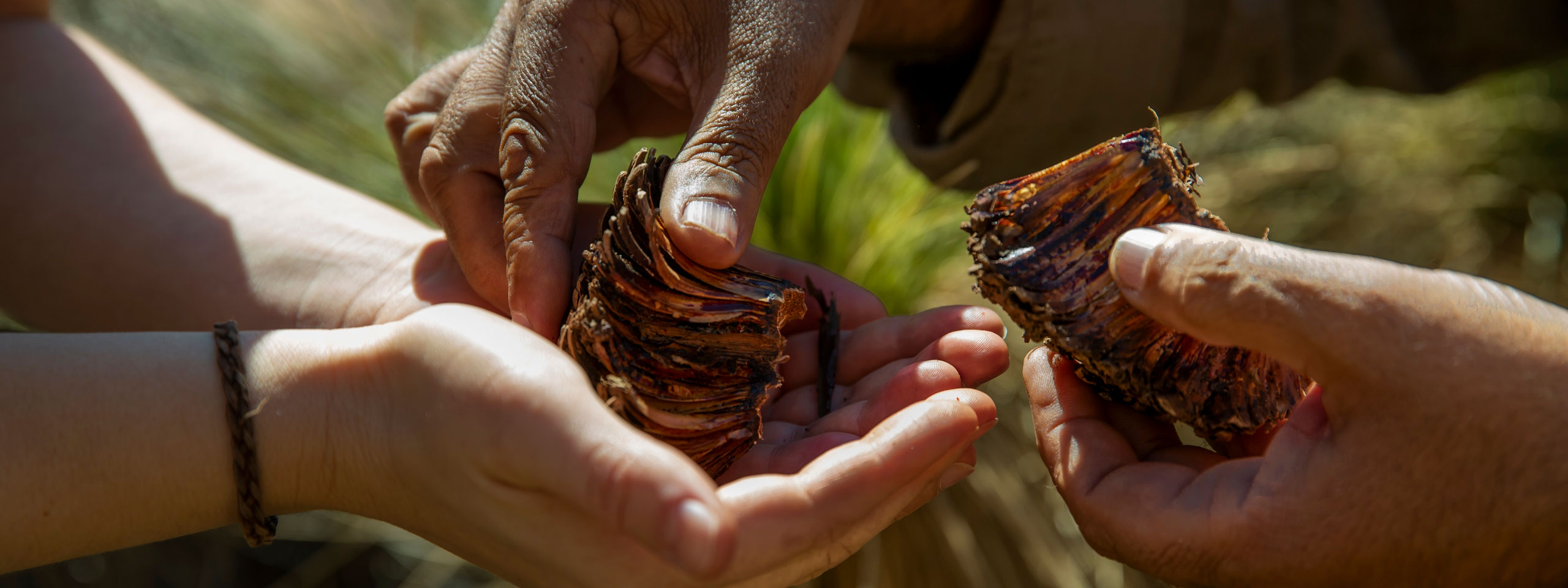 Traditional stories shared at Wilpena Pound Resort