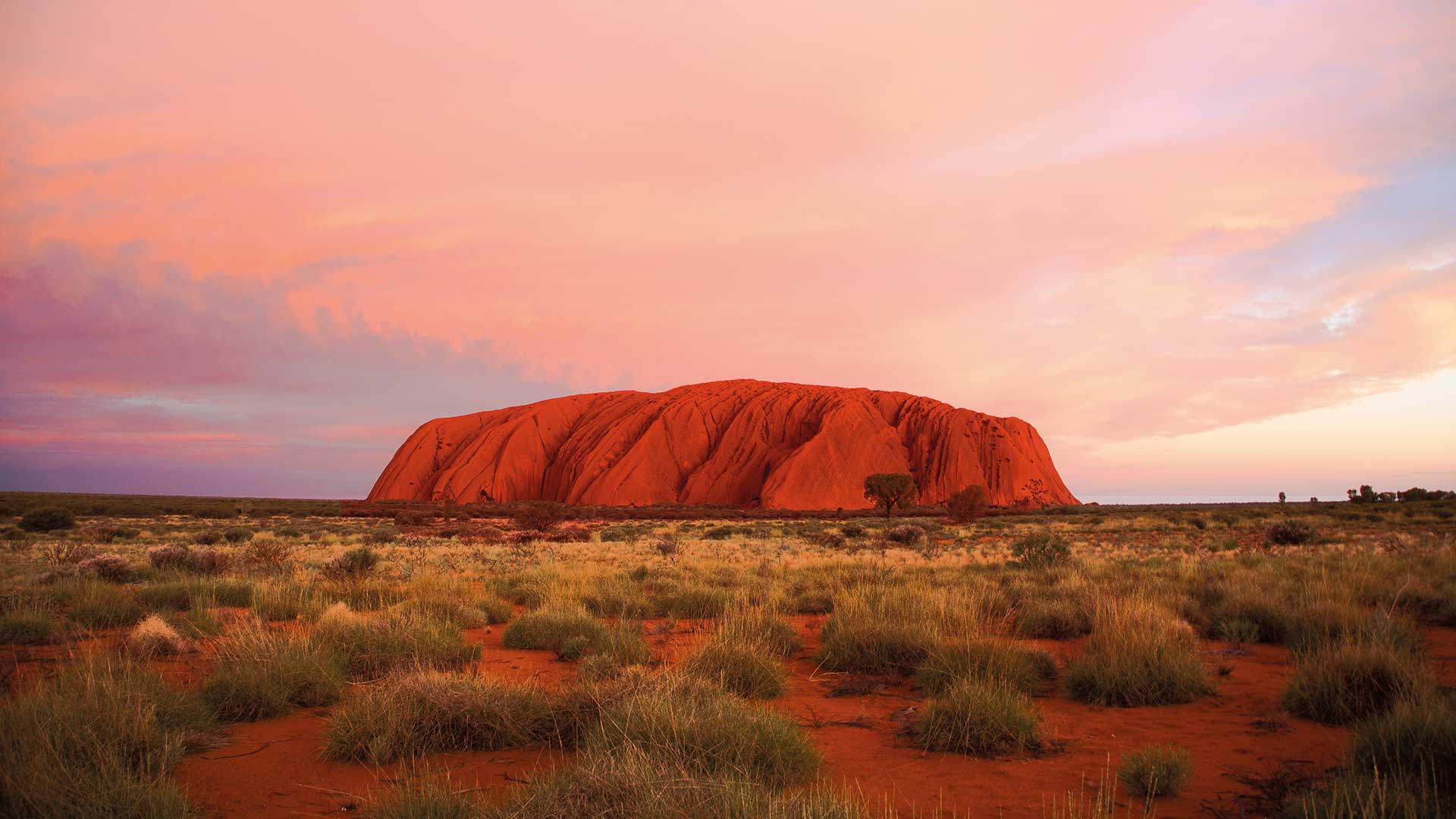 y17 uluru sacred sites bbq aat kings red centre